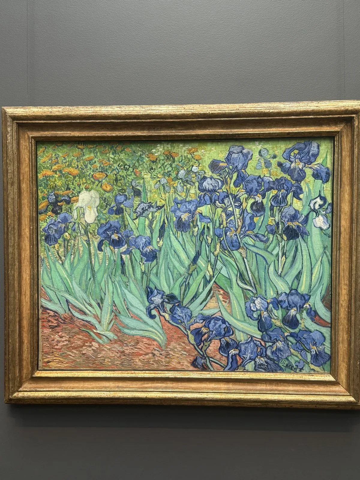 梵高《鸢尾花》（Irises, 1889）
