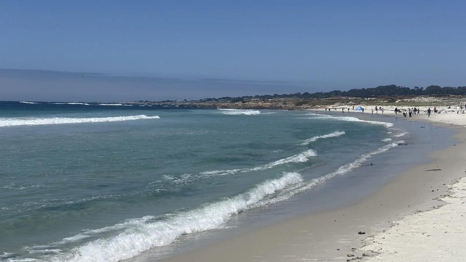 Spanish Bay——碧绿的海水扑面而来，宽阔的白沙滩却没什么人