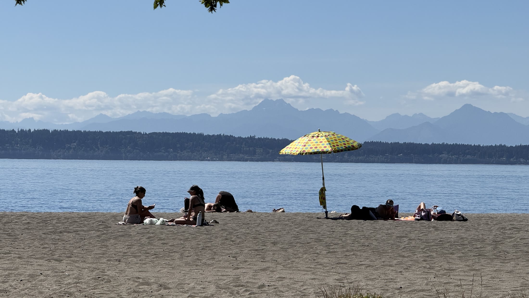 午后的 Golden Gardens，海、群山和躺在沙滩上的人