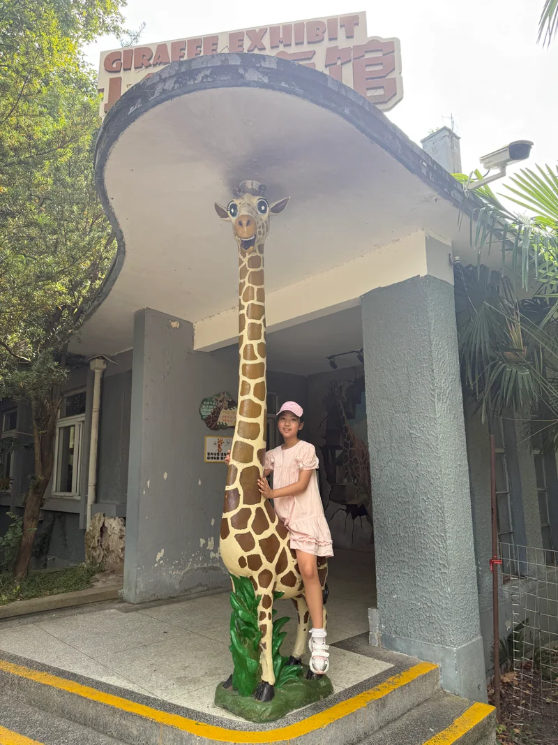 2026年,长高后的妹妹穿着粉色裙子,扶着画上斑纹的长颈鹿雕像